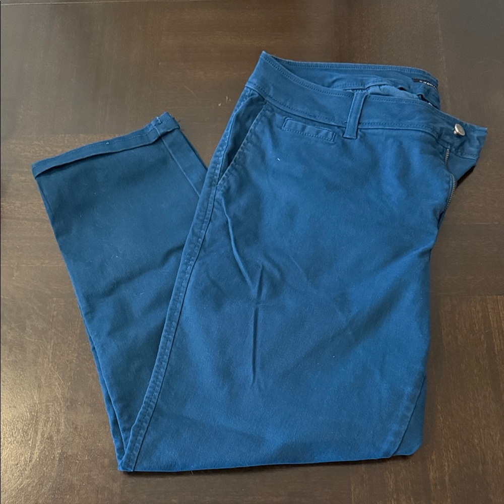 41 Hawthorn Blue Ankle Pants